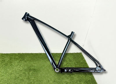 Large MTB frame